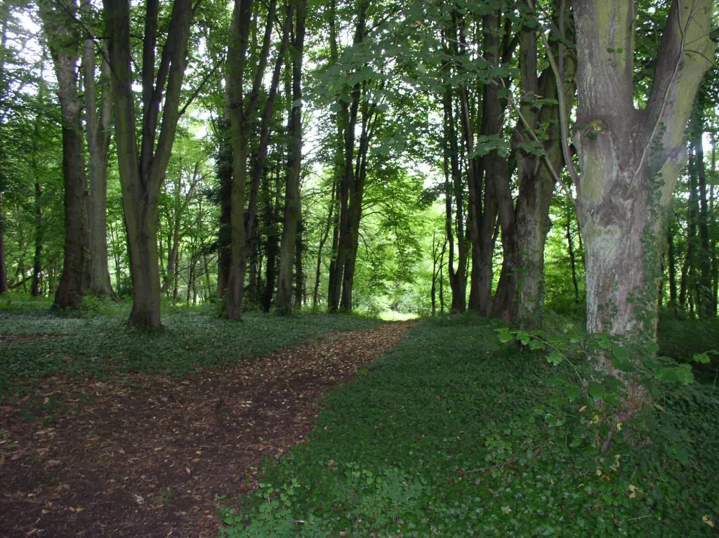 Le Foyer d’étudiantes dispose d'un parc de trois hectares pour des moments de détente.